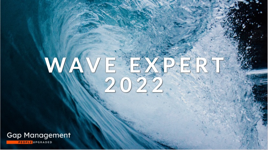 Wave expert 2022