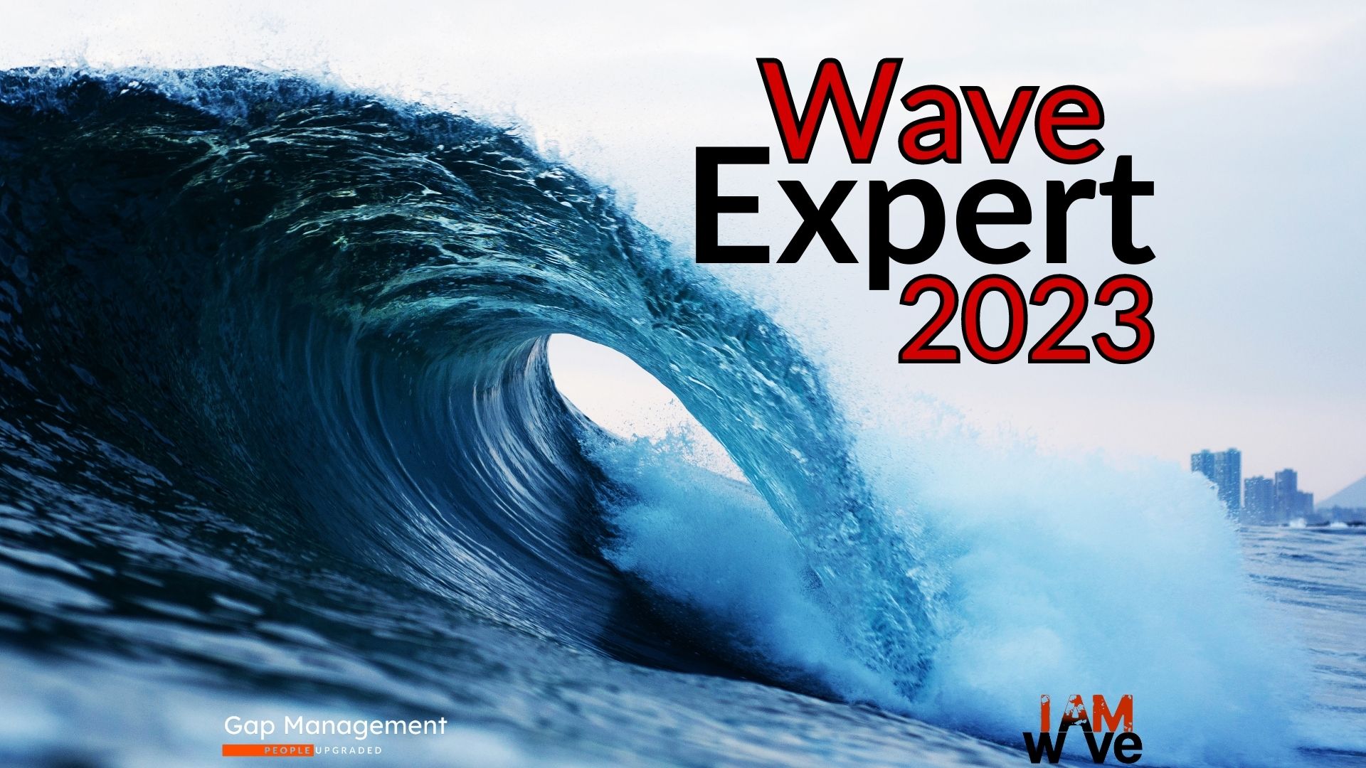 Copertina corso Wave Expert ed1 2023 2