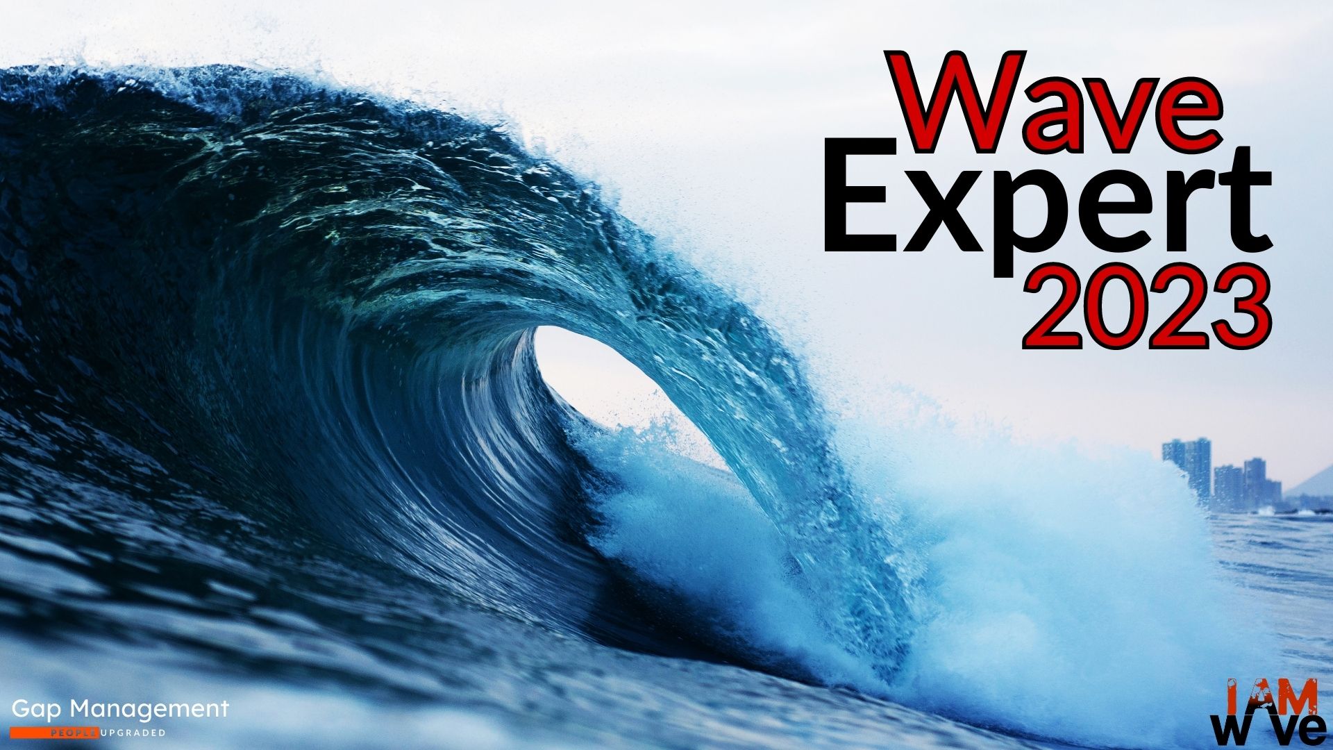 Wave expert 2023