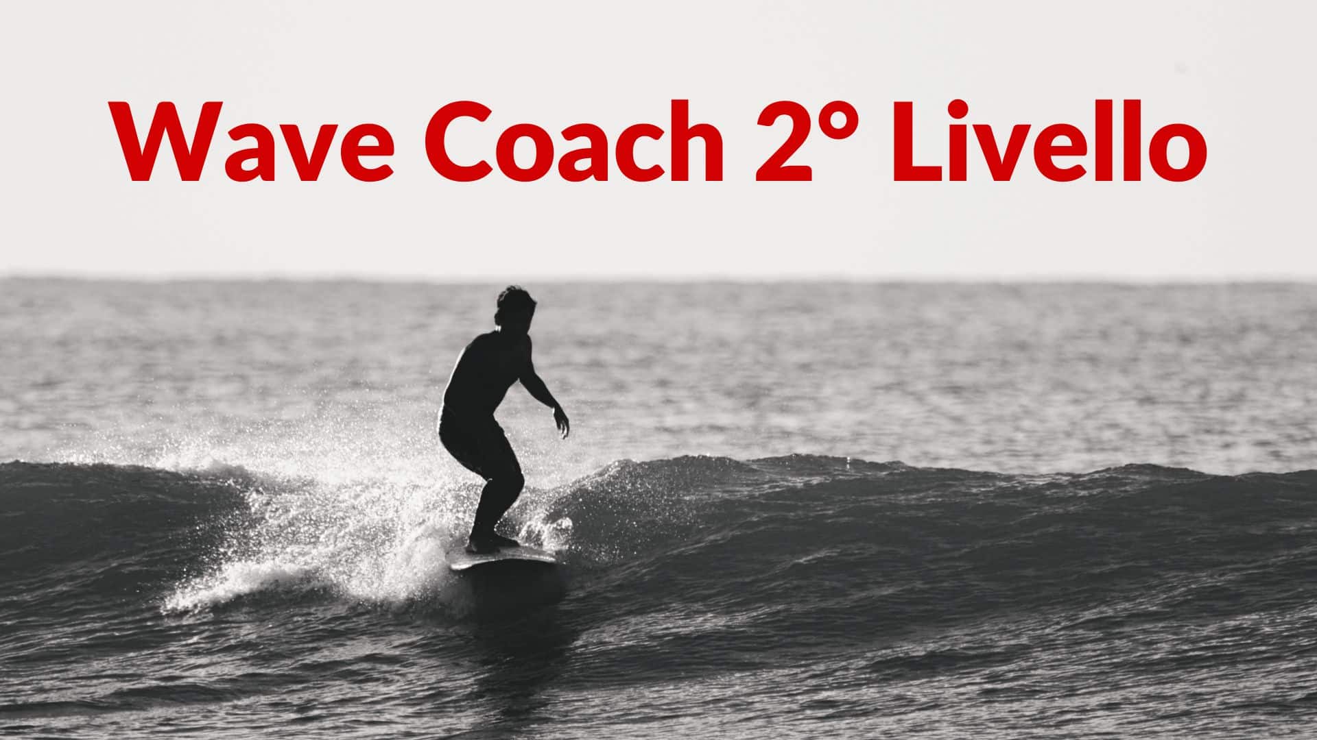 Wave Coach 2° Livello 2024